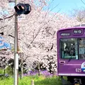 宇多野駅の写真_1556346
