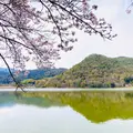 広沢池の写真_1571548