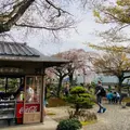池の茶屋の写真_1571549