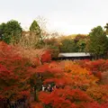 東福寺の写真_158655