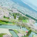 五稜郭公園の写真_1589242