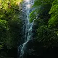 琴滝の写真_1593227