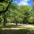 千秋公園の写真_1606696