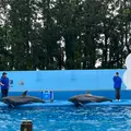 マリンピア日本海の写真_1616554