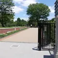 国民公園皇居外苑半蔵門園地の写真_1623332