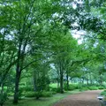 六花の森の写真_1630002