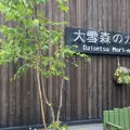 大雪 森のガーデンの写真_1630017