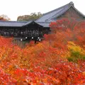 東福寺の写真_163181