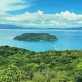 知林ヶ島の写真_1642883