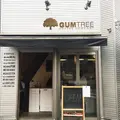 ガムツリーコーヒーカンパニー（Gumtree Coffee Company）の写真_164390