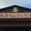 銚子セレクト市場の写真_164694