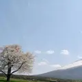 岩手山（南部片富士）の写真_165056