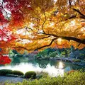 有栖川宮記念公園の写真_165059