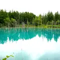 青い池の写真_1662769