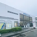 宮崎カーフェリー㈱宮崎港のりばの写真_1685329