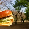 代々木公園の写真_170563