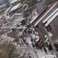 三年坂・二年坂の写真_171792