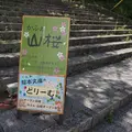 【閉業】かふぇ 山桜の写真_172004