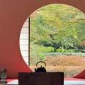 明月院（あじさい寺）の写真_1722751