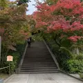 円覚寺の写真_1722753
