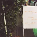 カタネベーカリーの写真_173203