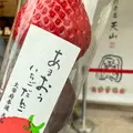 天山 本店の写真_1733669