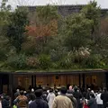 太宰府天満宮の写真_1734924