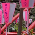 中目黒 桜祭りの写真_173928