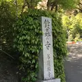 鈴虫寺（華厳寺）の写真_174478