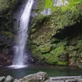 琵琶の滝の写真_174844