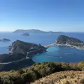 柏島の写真_1750041