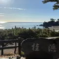 桂浜の写真_1750045