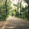 明治神宮の写真_175513