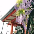 善国寺の写真_175797