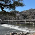 渡月橋の写真_1767282
