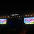 蘇我スポーツ公園の写真_1772195