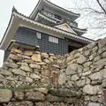 浜松城の写真_1789623