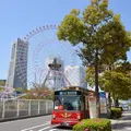 よこはまコスモワールドの写真_180818