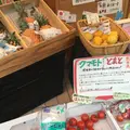 神楽坂野菜計画の写真_181338