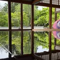 宝徳寺の写真_1819125