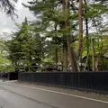 角館の写真_1820182