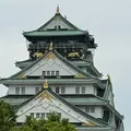 大阪城の写真_1827810