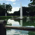 代々木公園の写真_184264