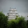 姫路城の写真_184340