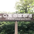 三鷹の森ジブリ美術館の写真_186271