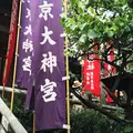 東京大神宮の写真_186416
