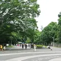 代々木公園の写真_187573