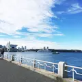 山下公園の写真_192748