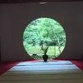 明月院（あじさい寺）の写真_194599