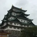 名古屋城の写真_195255